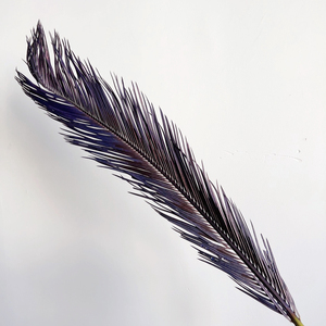 Foglie di Cycas Essiccate all'Ingrosso, Fogliame <span class=keywords><strong>Verde</strong></span> Naturale a Lunga Durata per Bouquet di Matrimonio, San Valentino e Capodanno Cinese, Decorazioni per la Casa - Product Image 2