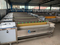 Machine à peler les asperges, le gingembre, les pommes de terre, les carottes, les betteraves, brosse de nettoyage, machine industrielle de nettoyage et de pelage des légumes-racines