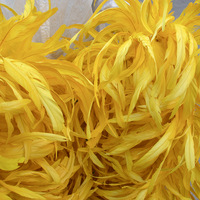 Boa en Plumes de Coq Naturelles Teintes de 2 M pour Vente en Gros, Idéal pour Costumes de Carnaval, Décoration de Mariage et Projets DIY
