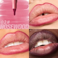 Crayon Marqueur Liquide Vegan OEM pour Lèvres, Imperméable, Ultra-Pigmenté, Longue Tenue, Teinte Rose Rouge Brun Cendré Bois de Rose