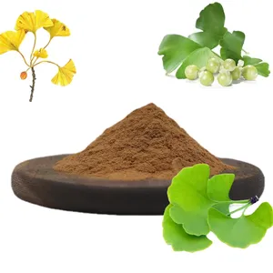 Extrait de ginkgo biloba directement fourni par le fabricant Flavones24 %/Lactones6% meilleure vente d'extrait de plante naturelle