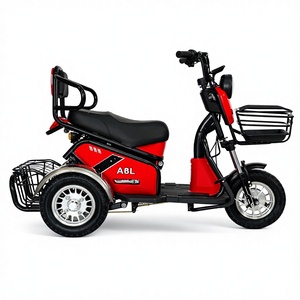 Pudín Modelo ------ Motocicleta de Tres Ruedas con Carga, <span class=keywords><strong>Precio</strong></span> de Fábrica Económico, Bicicleta <span class=keywords><strong>Eléctrica</strong></span> Familiar, Triciclo Eléctrico de Carga de Largo Alcance - Product Image 4