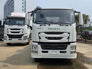 Camiones Volquete Hidráulicos ISUZU GIGA 5X 300HP de 10 y 15 Toneladas, Venta Caliente de Fábrica China - Product Image 2