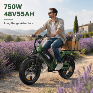 D55 750W 48V 55AH Electric Bike 20 Inch <b>Fat</b> Tire Aluminum <b>Frame</b> Long Range <b>EBIKE</b> with Hydraulic Disc Brake City Electric Bike - Product Image 1