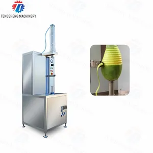 Automatische Commerciële Watermeloen Mango Schilmachine Pompoen Papaja Kokosnoot Ananas Schilmachine