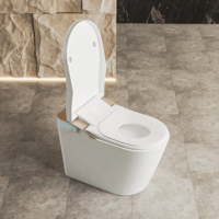 2025 Ultra mince intelligent intelligent toilette autonettoyant UV buse télécommande bol allongé nouvelle couleur commode toilette électrique