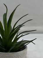 Mini Plantes Succulentes Artificielles en Pot - Écologiques et Résistantes aux UV - Décoration de Thanksgiving et de Noël pour Salle de Bain, Chambre et Bureau