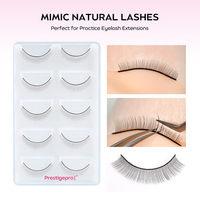 Extensions de cils artisanales avancées en bande complète pour la formation des débutants en pose de faux cils