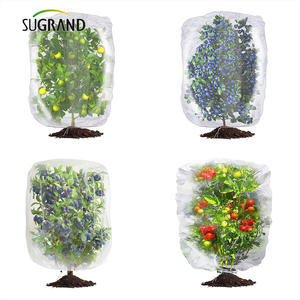 Jaring <span class=keywords><strong>Anti</strong></span> Serangga Nylon 100 <span class=keywords><strong>Mesh</strong></span>, <span class=keywords><strong>Anti</strong></span> Burung dan Hama, Perlindungan Ganda untuk Kebun dan Perkebunan - Product Image 6