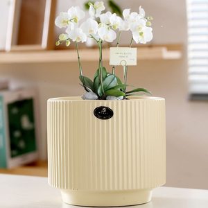 Vase de sol contemporain Fleid en polyéthylène HDPE - Durable, écologique, léger, à large ouverture, résistant à la décoloration, incassable - Product Image 3