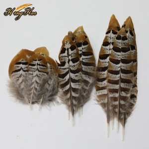 Tự nhiên 4-15cm Reeves chim trĩ Nâu lông thô Mô Hình DIY may Craft phụ kiện hoang dã gà hình quần áo trang trí - Product Image 1