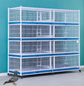 Éleveur double cage pour cage de pigeon delevage de pigeon