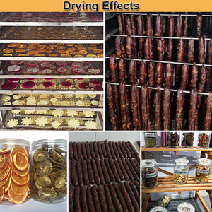 Essiccatori Sottovuoto ad Alta Efficienza per Frutta e Verdura / Essiccatore Industriale a Vassoio Sottovuoto / Forno di Essiccazione Sottovuoto - Product Image 2