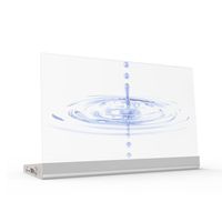 Prix usine 30 pouces affichage OLED Transparent 1366*768 affiche numérique pour la publicité de magasin de détail et d'ascenseur avec fonction SDK