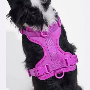 BSCI Factory Wholesale Custom Waterproof Adjustable Premium Reversible Vest Easy Walk Dog <b>Harness</b> Pet Collar - Product Image 4