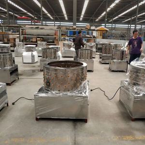 Machine à épiler les volailles (poulets, canards, oies, pigeons), entièrement automatique, nouveau modèle, machine à épiler les plumes de poulet de type professionnel - Product Image 4