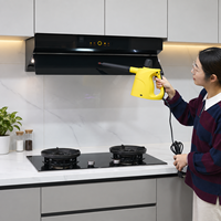 Équipement de nettoyage électrique compact 2000W, chauffe rapide en 10 minutes, réservoir de 1,5L avec verrouillage de sécurité, machine de nettoyage à vapeur pour voiture