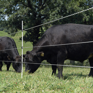 Postes de Fibra de Vidrio para Cercas Eléctricas, Postes de Fibra de Vidrio para Cercas, Poste de Fibra de Vidrio para Cerca Eléctrica, Listones de Fibra de Vidrio, Cerca de Alambre - Product Image 2
