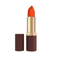 Rouge à lèvres mat professionnel de luxe à marque privée, maquillage végétalien, bâton de rouge à lèvres hydratant à l'huile JOJO, maquillage OEM