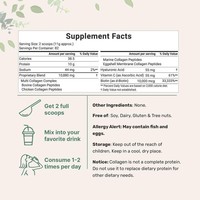 Poudre de peptides de collagène multiples de bovins nourris à l'herbe, sans OGM, avec biotine, vitamine C et acide hyaluronique, pour l'éclaircissement de la peau et l'amélioration de la condition physique des adultes (OEM/ODM)