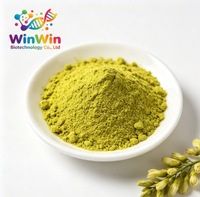Extrait de Sophora Japonica naturel à 95 % en poudre, quercétine, fourni par l'usine