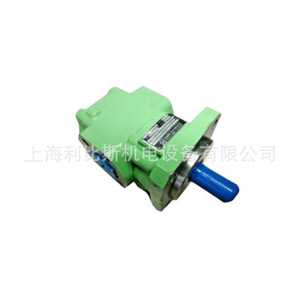 Pompe à huile RICKMEIER R253.15FL Z DB 250 Bar, pompe rotative à 1 étage, corps en fonte, engrenage en acier inoxydable 304, application hydraulique - Product Image 1