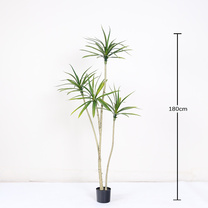 Deuxième génération 180 cm (4 pièces)