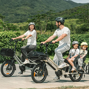 Vélo cargo électrique à longue porté<span class=keywords><strong>e</strong></span> <span class=keywords><strong>Fiido</strong></span> T3 Max avec moteur central de 250 W, 100 Nm, batterie au lithium 36 V, cadre en aluminium, déverrouillage NFC - Product Image 1