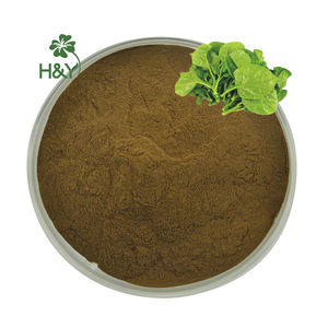 Лучшая цена, экстракт малабарского шпината, порошок экстракта 10:1 малабарского шпината - Product Image 1