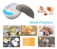 Perroquets numériques automatiques HHD pour machine à couver au détail Canard Poulet 9 Mini couveuse à œufs