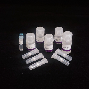 Fournisseur de la Chine Kit de réactifs de biologie moléculaire Extraction d'<span class=keywords><strong>ADN</strong></span> génomique du sang - Product Image 2