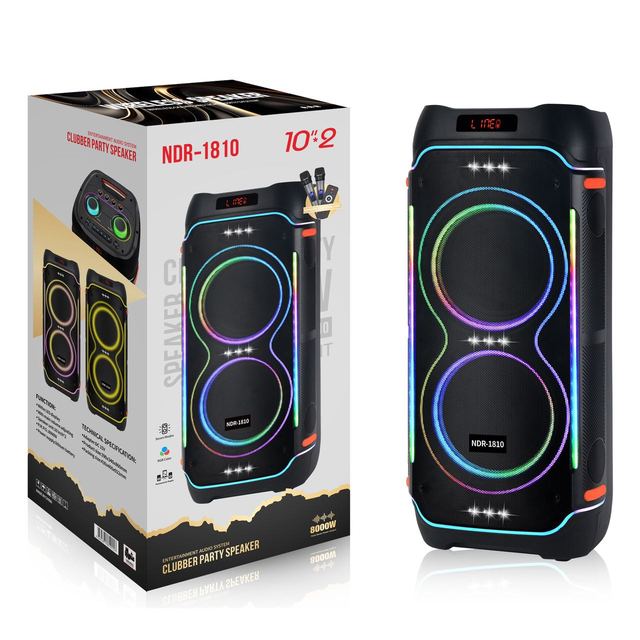 HiFi Professional 100W RGB LED Outdoor Karaoke DJ Amplifier Speaker System for Home Theatre Bass Woofers Party PA