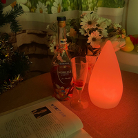 Luminaire décoratif portable, lampe de table LED sans fil rechargeable en plastique pour restaurant, lampe de nuit