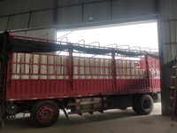 Adhésif à base de caséine aqueuse DL-300 pour étiquettes papier sur bouteilles de bière et de boissons, haute viscosité, emballage en fût de 20 kg