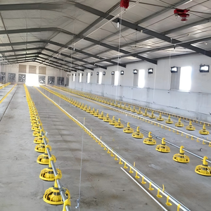 Poulailler préfabriqué moderne et économique avec isolation thermique et protection incendie pour 10 000 poulets - Product Image 6