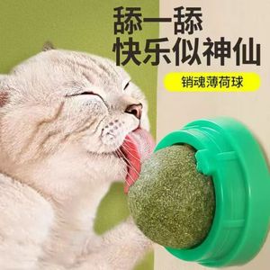 Jouets à mâcher en forme de boules de catnip pour chats, jouet pour animaux de compagnie en plastique durable pour intérieur - Product Image 3