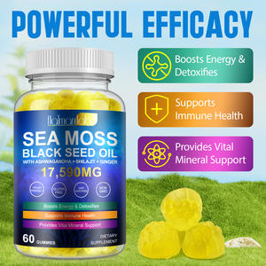 4 in 1 temiz <span class=keywords><strong>Nutraceuticals</strong></span> deniz yosunu Gummies ile aslan yelesi Shilajit siyah tohum yağı vahşi vitamini yüklü maddeler Mason kavanoz - Product Image 2