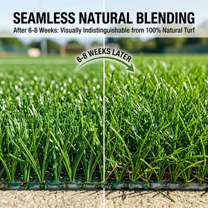 Gazon artificiel tissé à longue durée <span class=keywords><strong>de</strong></span> <span class=keywords><strong>vie</strong></span>, rouleau d'herbe synthétique imperméable, pelouse hybride pour terrain <span class=keywords><strong>de</strong></span> sport <span class=keywords><strong>de</strong></span> maternelle - Product Image 3