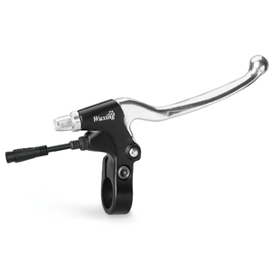 TS 750w V3 E bike Speed
