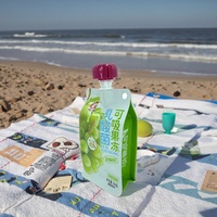 Sachet réutilisable de 250ml 350ml 500ml pour boissons gazeuses et jus Sachet liquide debout avec bec verseur Sac en plastique pour eau minérale Sachet De Jus