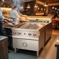 Barbecue commercial autonome en acier inoxydable avec surface de cuisson en pierre de lave et armoire intégrée