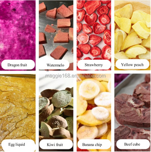 Machine de lyophilisation compacte pour aliments, sécheuse sous vide peu encombrante pour petites ateliers et entreprises alimentaires - Product Image 2