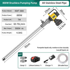 Cavitt ปั๊มสูบน้ำมันแรงดันสูงปั๊มสูบน้ำมันดีเซลสแตนเลสทั้งหมดแบตเตอรี่ลิเธียมสองก้อนสามารถปรับแต่งได้ - Product Image 2