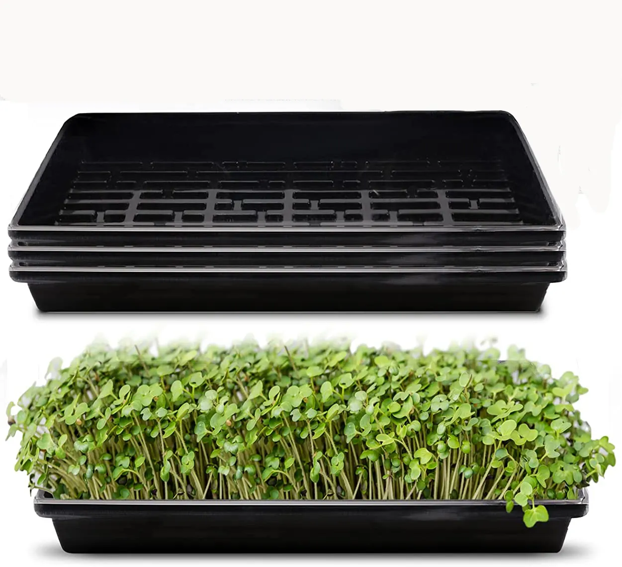 1020 vassoio Extra resistente senza fori per avviamento di semi di propagazione, germinazione delle piante, foraggio, Microgreens