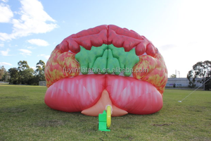 Op Maat Gemaakte Commerciële Gigant Reclame Nylon Materiaal Opblaasbare Hartmodel Luchtblazer Voor Evenementenpromotie - Product Image 4