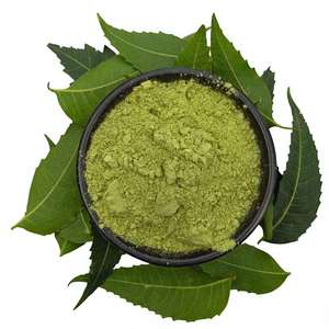 Poudre de feuilles de Neem de qualité supérieure, de qualité alimentaire, purement naturelle, ingrédient botanique indien, fabriquée à partir de feuilles de Neem séchées, extrait séché par pulvérisation - Product Image 2