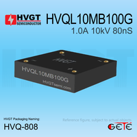 Pont redresseur à diodes HVGT HVQL10MB100G 1A 10kV Temps de récupération haute fréquence 80nS Puce GPP