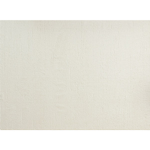 พรมดินไดอะตอมเมียส รูปทรงสี่เหลี่ยม สีพื้น กันน้ำ ซักได้ ใช้ในบ้าน ทำจากเส้นใยโพลีโพรพิลีน หนาพิเศษ หรูหรา - Product Image 2