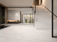 Dalles de marbre Bianco Dolomiti pour plans de travail de cuisine, murs de salle de bain, revêtements de sol, plateaux de douche, dessus de table, dessus de table basse, dessus de meuble-lavabo