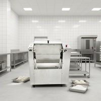 Mélangeur à Pâte Électrique Commercial Haute Productivité 25kg 30kg 50kg – Pétrin Horizontal pour Boulangerie, Pain, Biscuits, Pizza